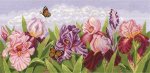 (image for) Triumph Of Iris 2